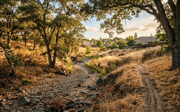 A South Bay creek corridor — the kind of pathway coyotes use to travel through neighborhoods