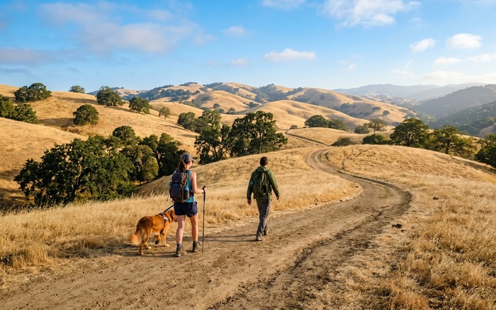 Shaded hiking trail through Uvas Canyon